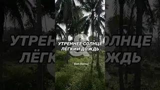 Дождь и солнце на Самуи в ноябре 