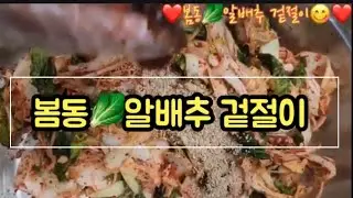 ❤️간단히 무쳐 아삭 고소한 봄동🥬알배추 겉절이😋 #korean fresh #kimchi 🇰🇷🎶