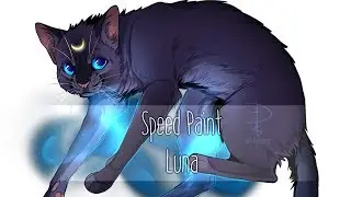 ◁ Sailor Moon ▷ Luna | Speed Paint
