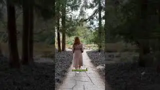 В чём моя задача в этом воплощении?