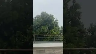 RAINING PORTUGAL ATLANTIC OCEAN ДОЖДЬ АТЛАНТИЧЕСКИЙ ОКЕАН ПОРТУГАЛИЯ #shorts #rain #дождь #portugal