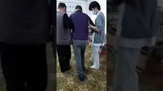 Восстановление после аварии с Elev8