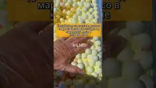 Факты о Китае, которые ты точно не знал 