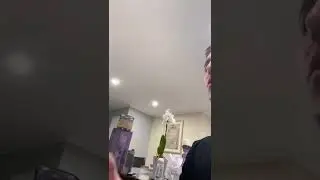 Mental Issue