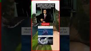 RELATABLE USELESS DREAM 