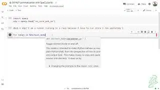 15 - NLP Lemmatization with Spacy