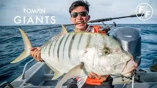 MONSTER 4.2KG Golden Trevally! | Facepalmfishing