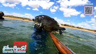 Encontro com PREDADOR mais Perigoso PIRANHA PRETA do velho chico