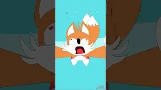 poor sonic 13-16 