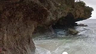 聖誕島上的螃蟹