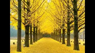 south korea