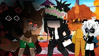 Shauy exe parte 2