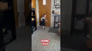 Fetch!!  #shorts #fun with grandpa