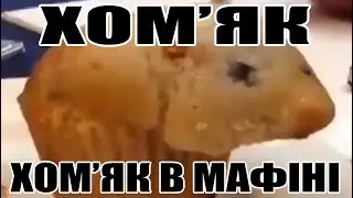 ХОМ'ЯК В МАФІНІ