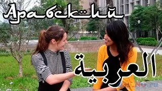 Arabic language. Lesson for beginners with a native speaker