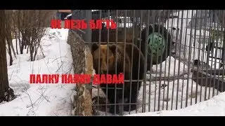 ПАЛКУ ПАЛКУ ДАВАЙ БЛ*ТЬ  ДЕБИЛ