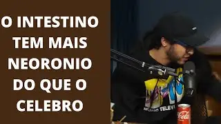SAIBA COMO CHAMAR ATENÇÃO