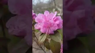 Весна, 9 мая, праздник ПОБЕДЫ