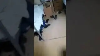 БОЗ ТОЧИК МУРДАК 2020