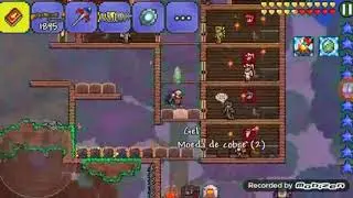 Como fazer a mega tubarão no terraria Android