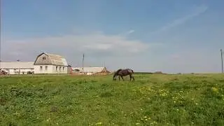 Могилевская область: деревня Заборье / Дрибинский район [Full HD]
