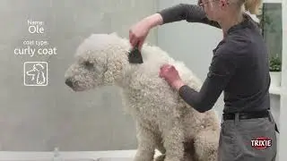 Groom Like a Pro with TRIXIE's Pet Grooming Brush ideal deshedding tool & detangles top & base coats