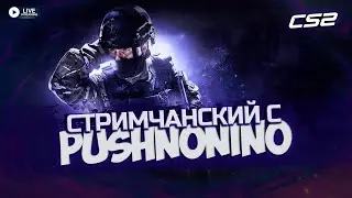 🔴 СТРИМ ПО CS2 || ДУШЕВНЫЙ СТРИМЧАНСКИЙ С PUSHNONINO #7 [2K 60 FPS]