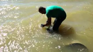 Pescuit pe Ebro,Chiprana