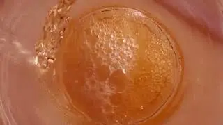 Bochkari Full
