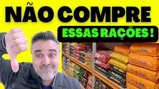 🚫NÃO COMPRE essas rações!! | Cães e gatos