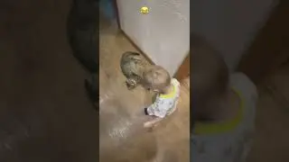 Так хочется обнять котика 😂