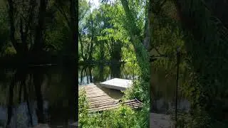 Звуки лета 