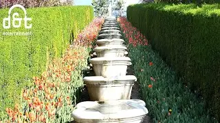 Beautiful Relaxing Music - Stop Overthinking, Stress Relief Music, Sleep Music, Calming Music