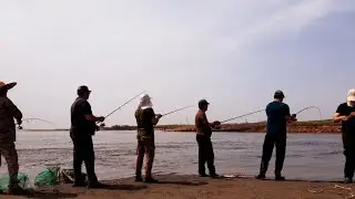 Arnasoy zalatoy mo‘st 11/11/2022