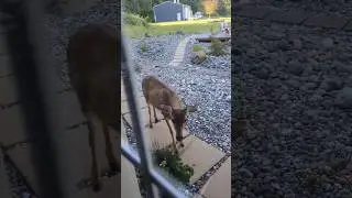 Excuse me, it is Ma'am