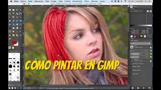 Herramienta de pintado en Gimp