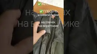 Кожаная куртка с плесенью. Приёмка и АКВАчистка химией SarBio.