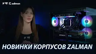Zalman: ТОП-3 новых корпуса для ПК | Обзор, сравнение, что выбрать