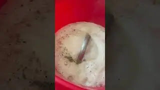 Вторая жизнь ✅