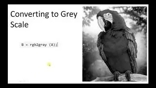 IEblog#19 -Matlab Tutorial for Image Colour channel  Separation