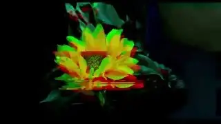 Sublime Decomposition