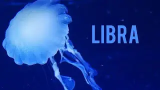 Libra You're Surprising Everyone, They Didn't See You Coming - Jun 28 - Jul 4