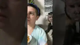Балованный!