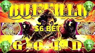 BUFFALO GOLD SLOT MACHINE 🐃 | BONUS • $6 BET | LIVE SESSION