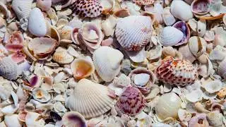10 Best Little Beach Towns in Florida | Coastal Living