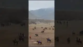 Бузкашира бин лайка бшап
