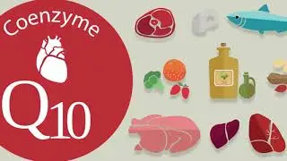 5 Best CoQ10 Coenzyme Q10 Supplements 2020