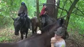 Ливень в Походе на Лошадях. Часть 2