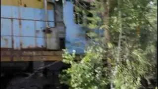 Окрестности станции Янов