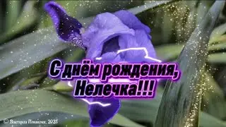 Нелечка, с днём рождения! 